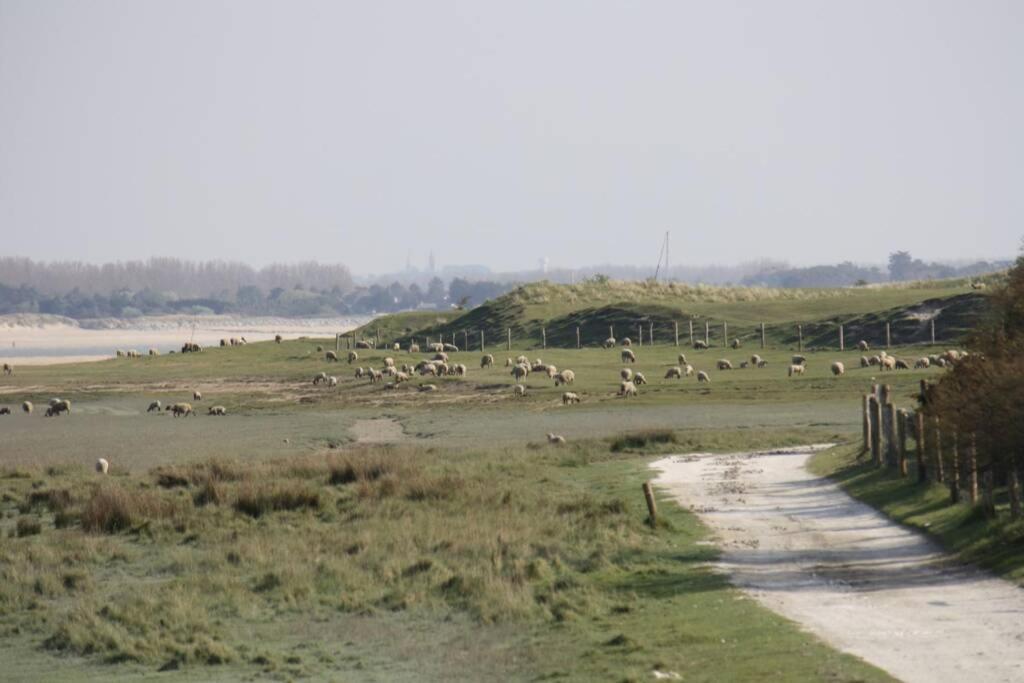 Gite Ouest De La Pointe D'Agon Exteriér fotografie